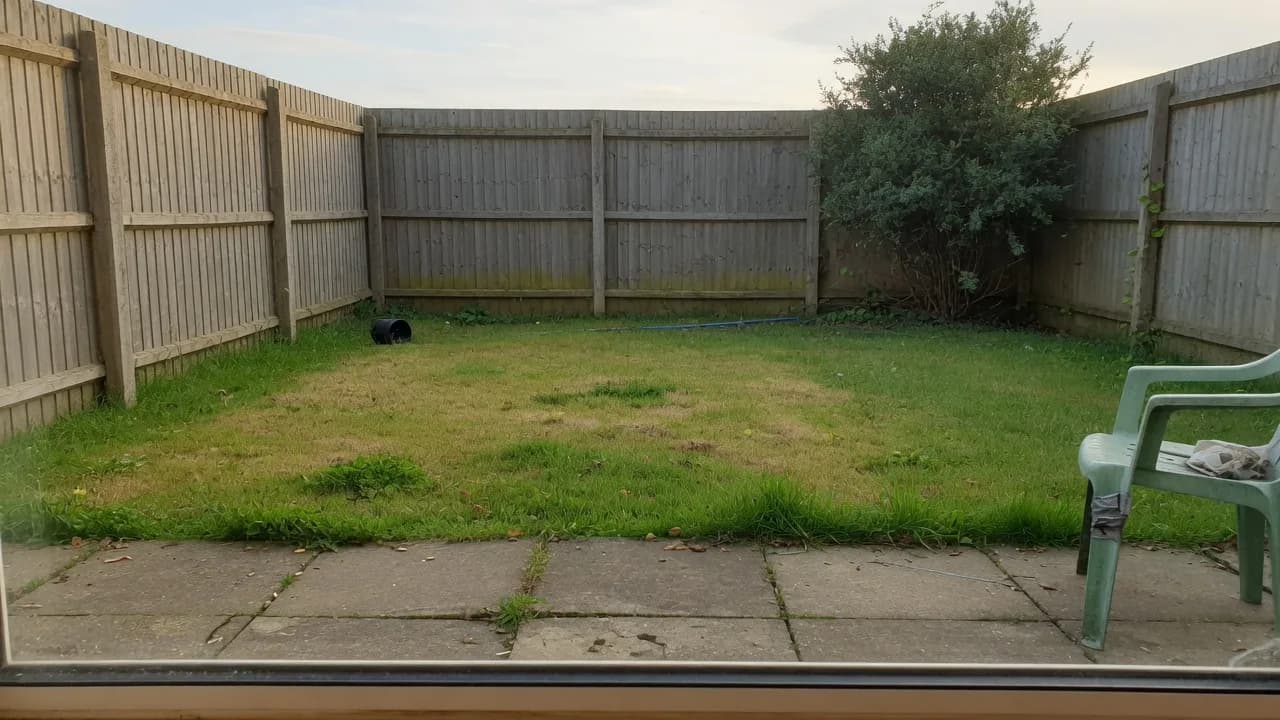 Garden before redesign